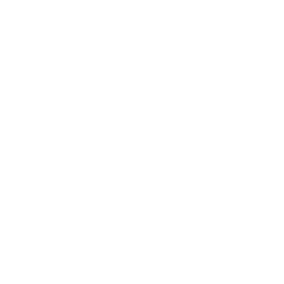 Versich logo